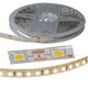 led 3W 10V 90LM 6000K 11MM COB  